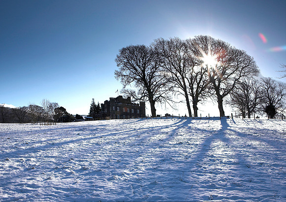 Stobo's Winter Star_3760_z