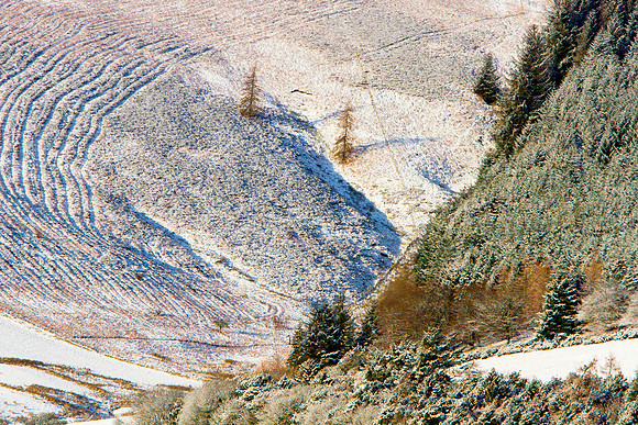 Warm Sun on Chilled Hill_9324