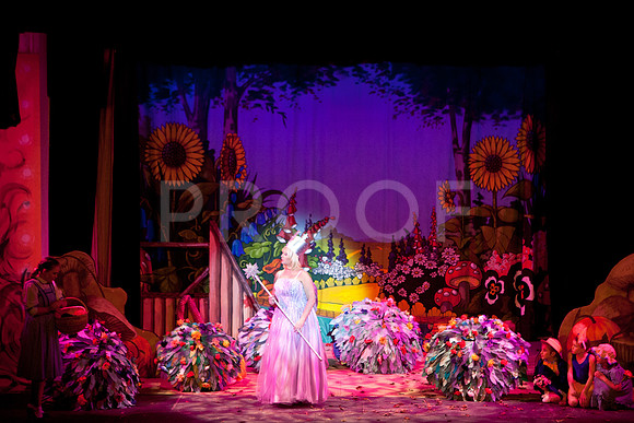 wizofoz_5D-0274