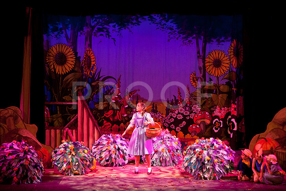 wizofoz_5D-0275