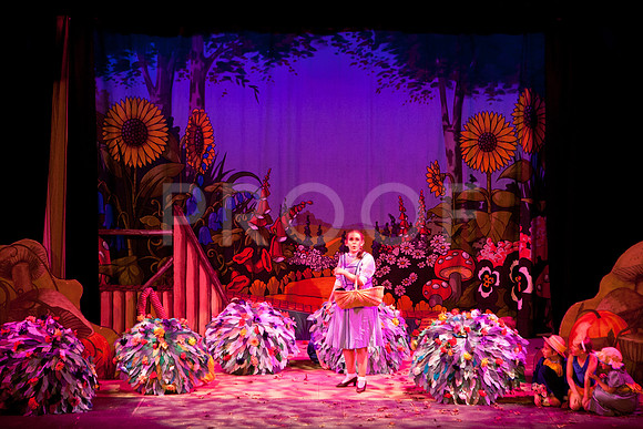 wizofoz_5D-0276