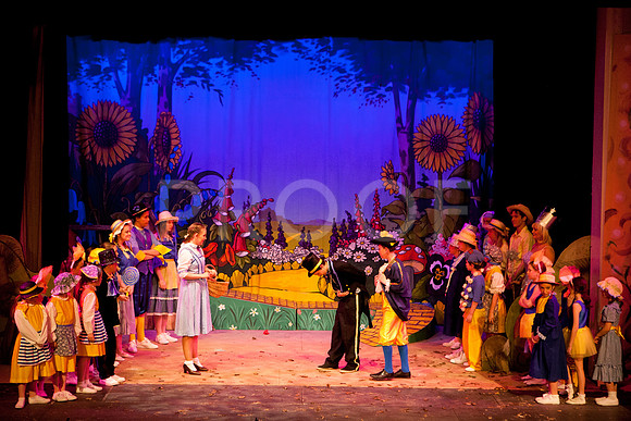 wizofoz_5D-0288