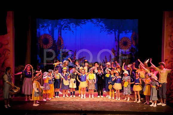 wizofoz_5D-0290