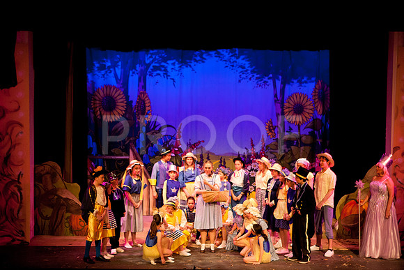 wizofoz_5D-0293