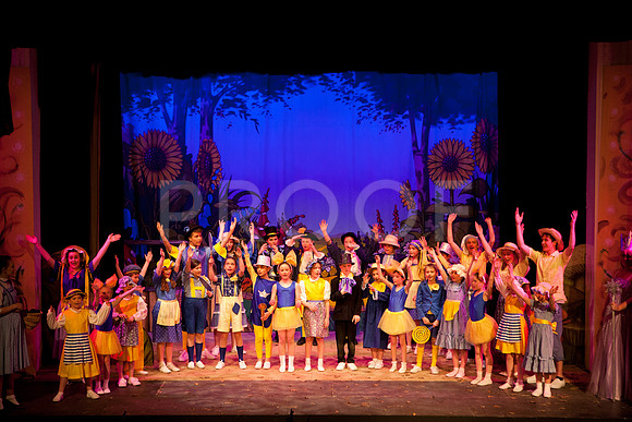 wizofoz_5D-0302