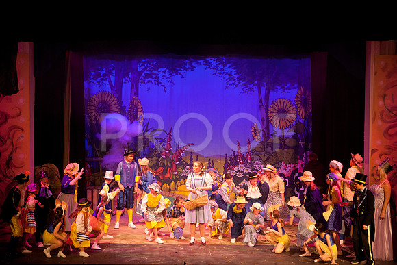 wizofoz_5D-0306