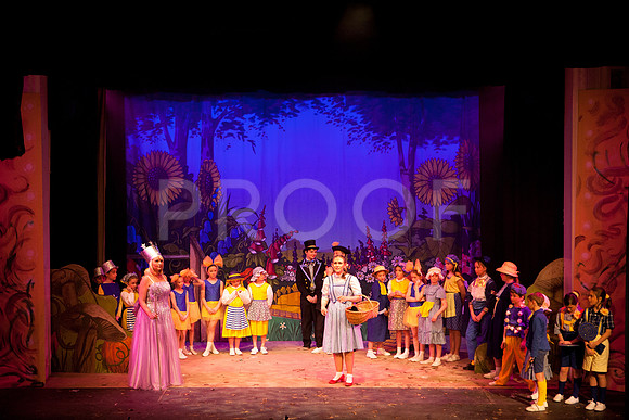wizofoz_5D-0313