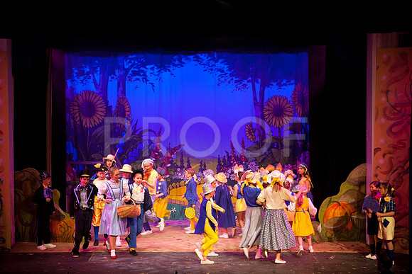 wizofoz_5D-0315