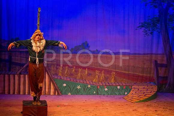 wizofoz_7D-0546