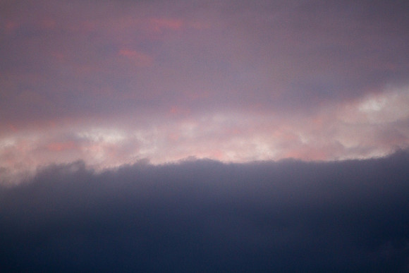Pink Light_4686