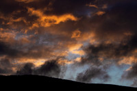 20210208_MG_2413_local