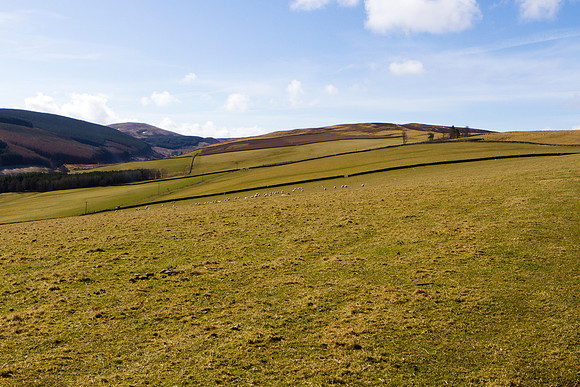 Newhall Hill to Blake Muir-0590