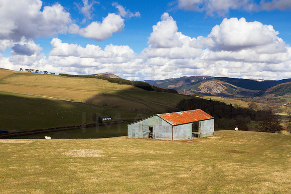 Barn on the Hill-0748