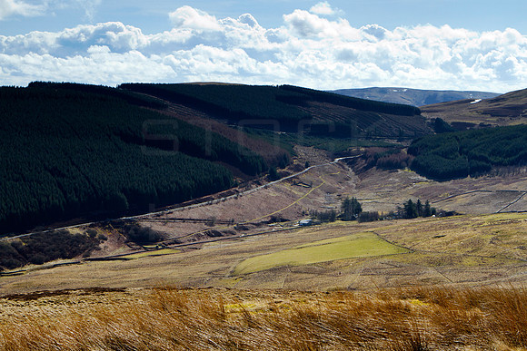 Glenlude-0612