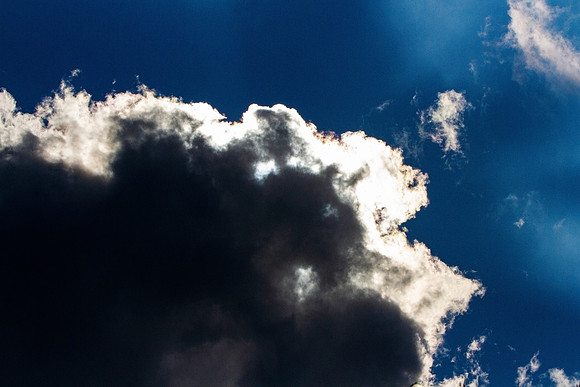 Out of the Blue_4741-2
