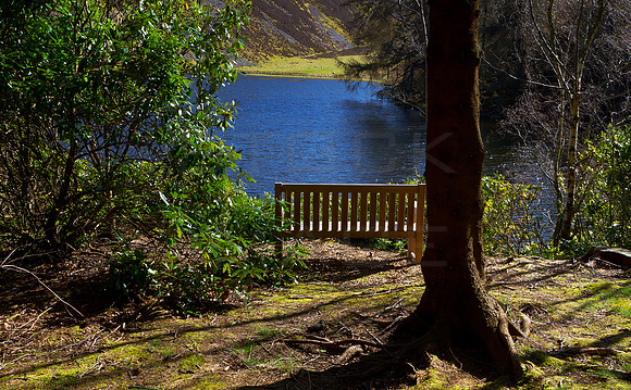 Have a Seat and Think About It