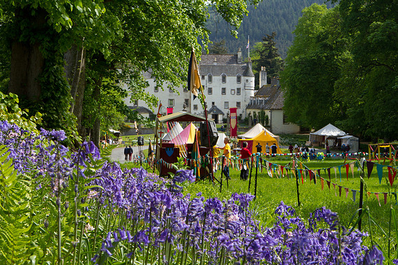 TMF_7D-0728
