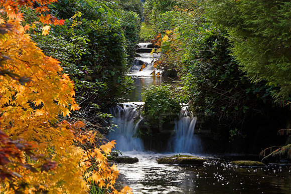 Stobo Waterfalls_0739