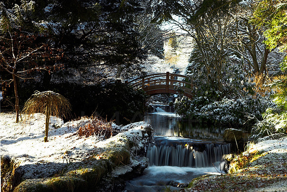 Winter Gardens at Stobo_3748