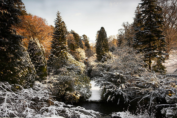 Winter in Stobo_3724