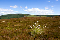 damhead-rigg-wide-1352