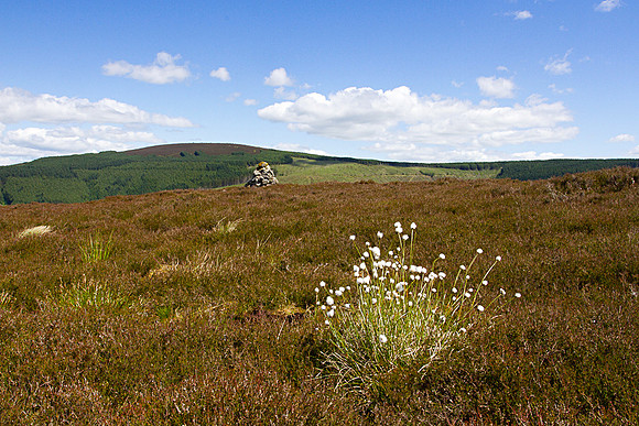 damhead-rigg-wide-1352