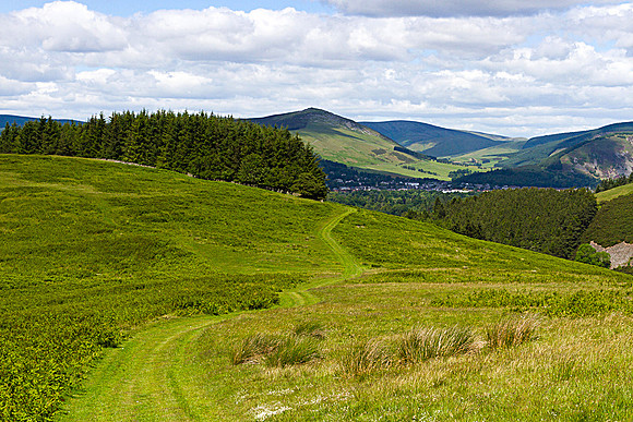 Damhead Rig Memorial-wide-1368