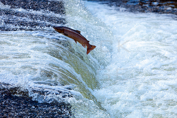 Leap of Faith_5366_5D