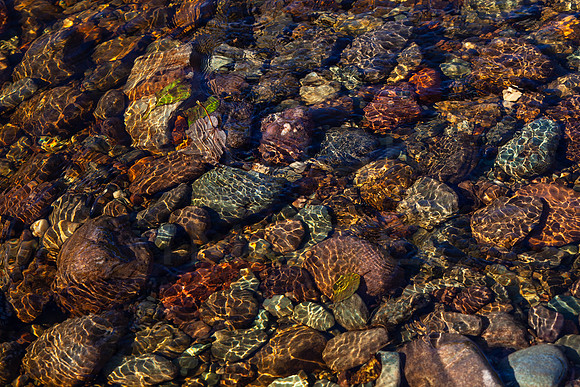 Riverbed Pebbles_5278_5D