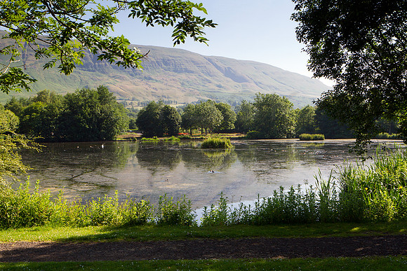 Whitefield-Pond-Lennoxtown_1677