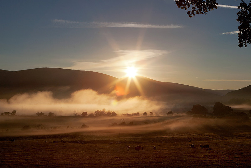 The Morning Star_1106