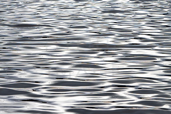 Mercury Waters_2626-90D-autumn