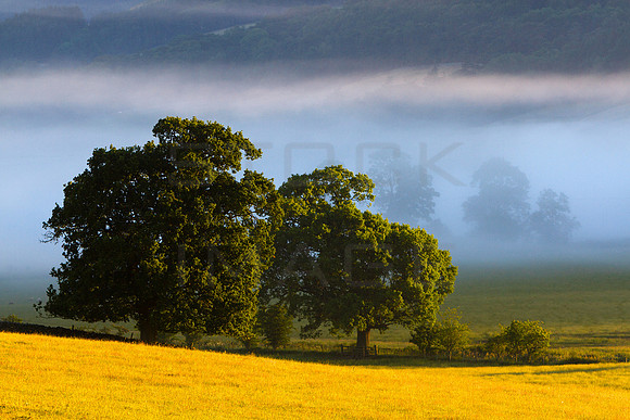 As Morning Breaks_1796- 7D