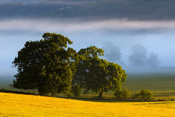 As Morning Breaks_1796- 7D