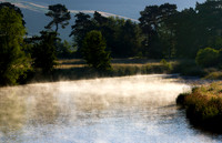 Morning Mist on Tweed_1827- 7D