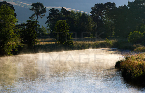 Morning Mist on Tweed_1827- 7D