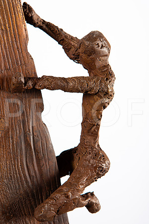 ana-ladd-detail_1066