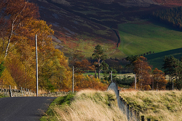 Cademuir in Autumn_0993_zen
