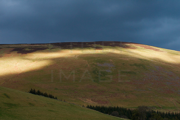 Light on the Land_5635