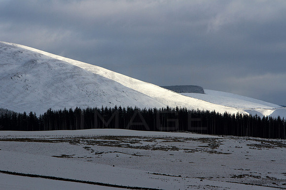 Moorfoot Hills in Winter Light_9093