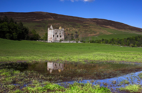 Newark Tower near Bowhill_5416