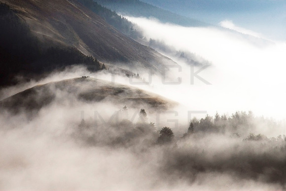 Primordial Land_8287