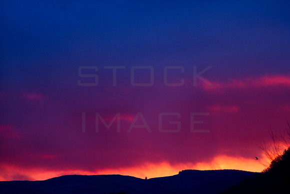 Shepherd's Warning_9690