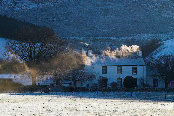 The Blue House_2543_zen