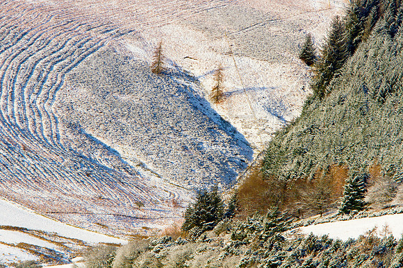 Warm Sun on Chilled Hill_9324