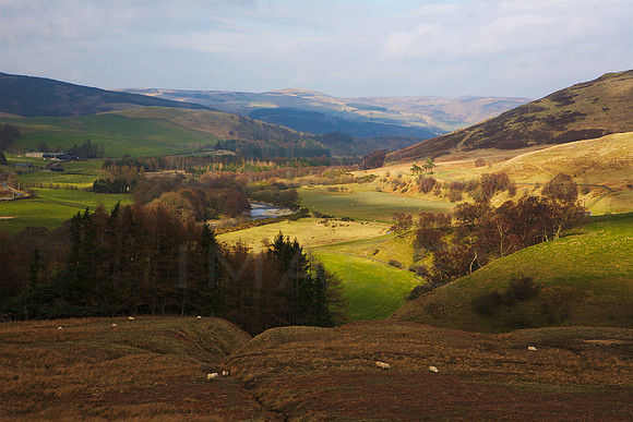 Yarrow Valley_4456