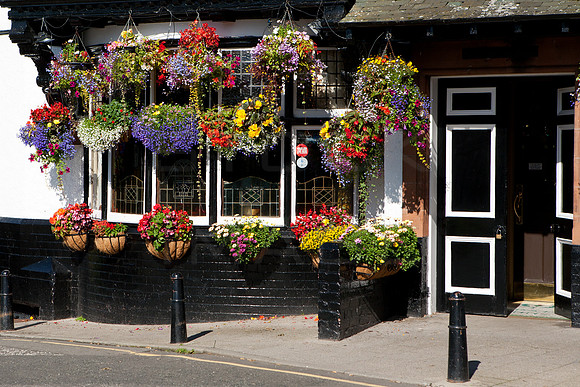 Bridge Inn Hanging Baskets_1946