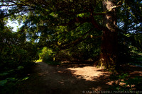 20210901_MG_5351_5D- local