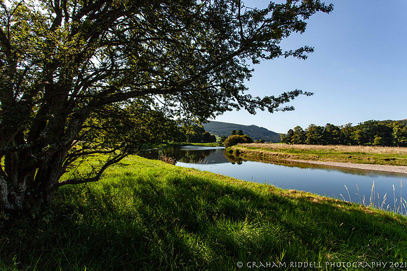 20210901_MG_5359_5D- local