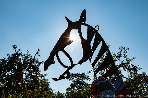 20210901_MG_5416_5D- local